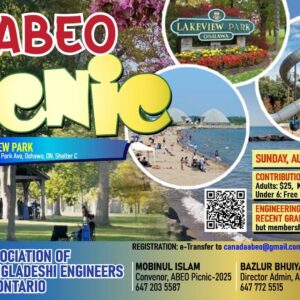 ABEO Picninc Flyer