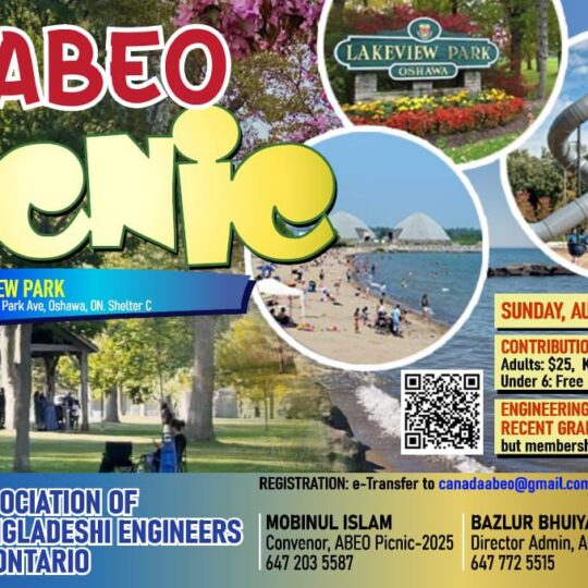 ABEO Picninc Flyer